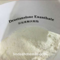 Masteron Enanthate Anabolic Drolban Drostanolone Enanthate für Bodybuilding